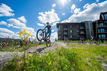 Søg årets sjoveste sommerjob